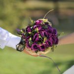 70673710_3068309376572617_145973461511045120_n_optimized